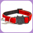 Kitten-120